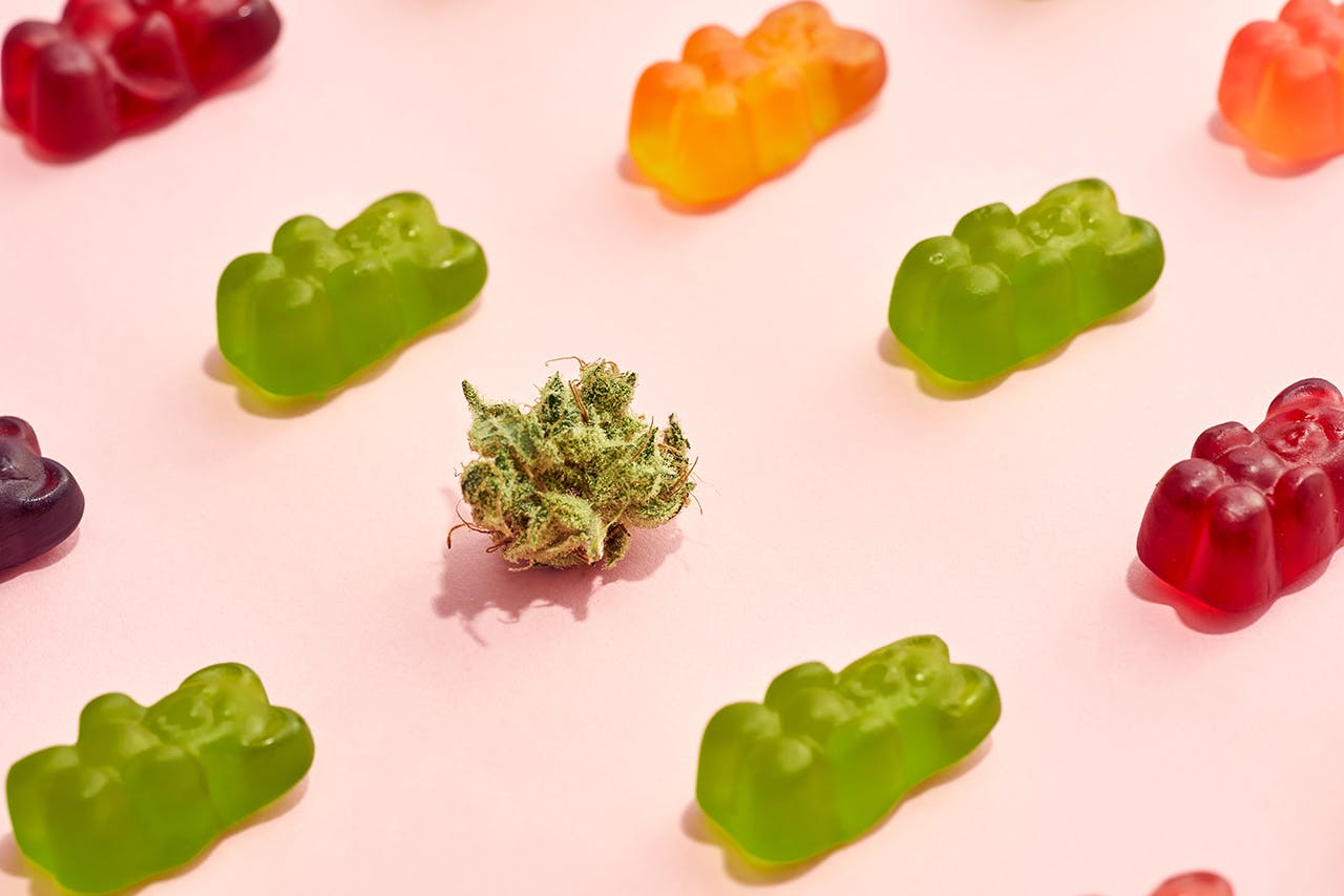 How to make weed gummies, Cropped view of dry crushed marijuana bud and colorful sweet yummy teddy bear candies on beige background. Light drug and addiction. Herbal medicine and painkiller therapy. Natural organic cannabis