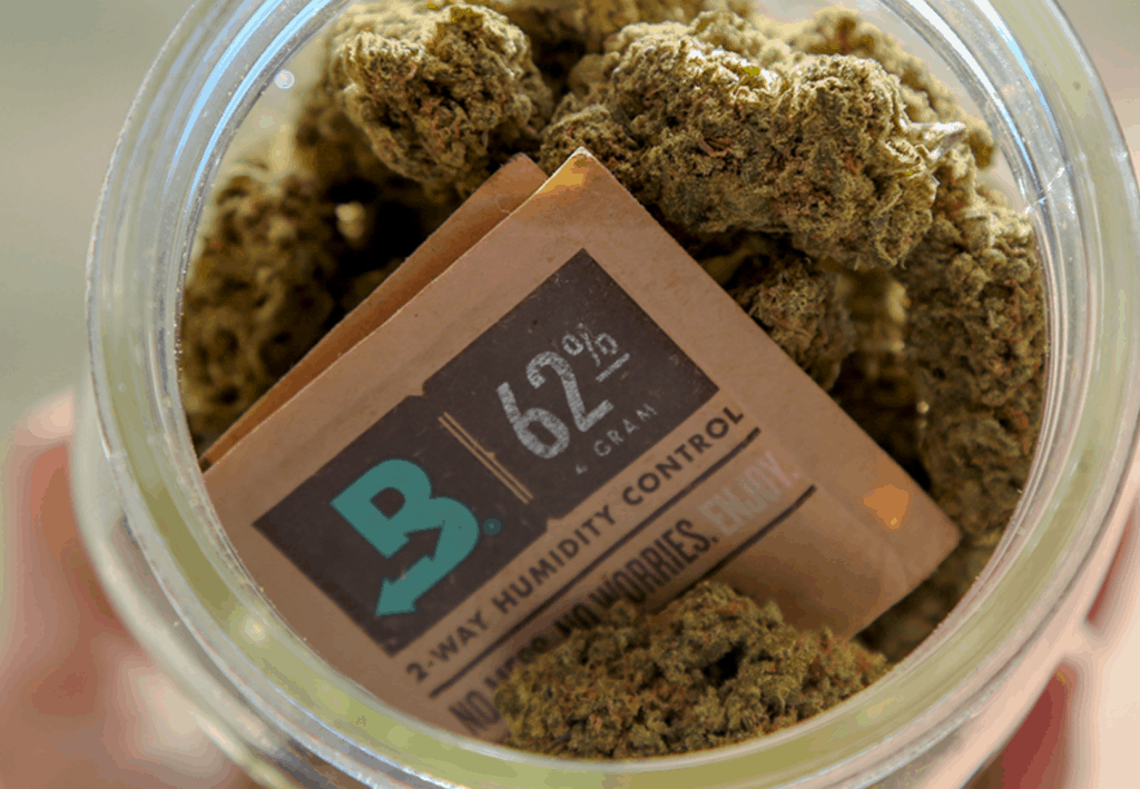 boveda with cannabis