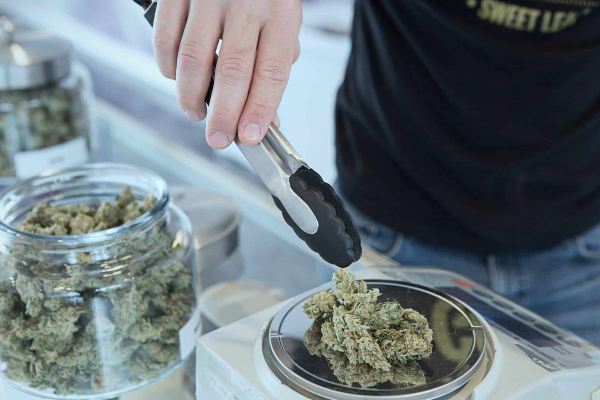 Budtender weighing weed from a glass container