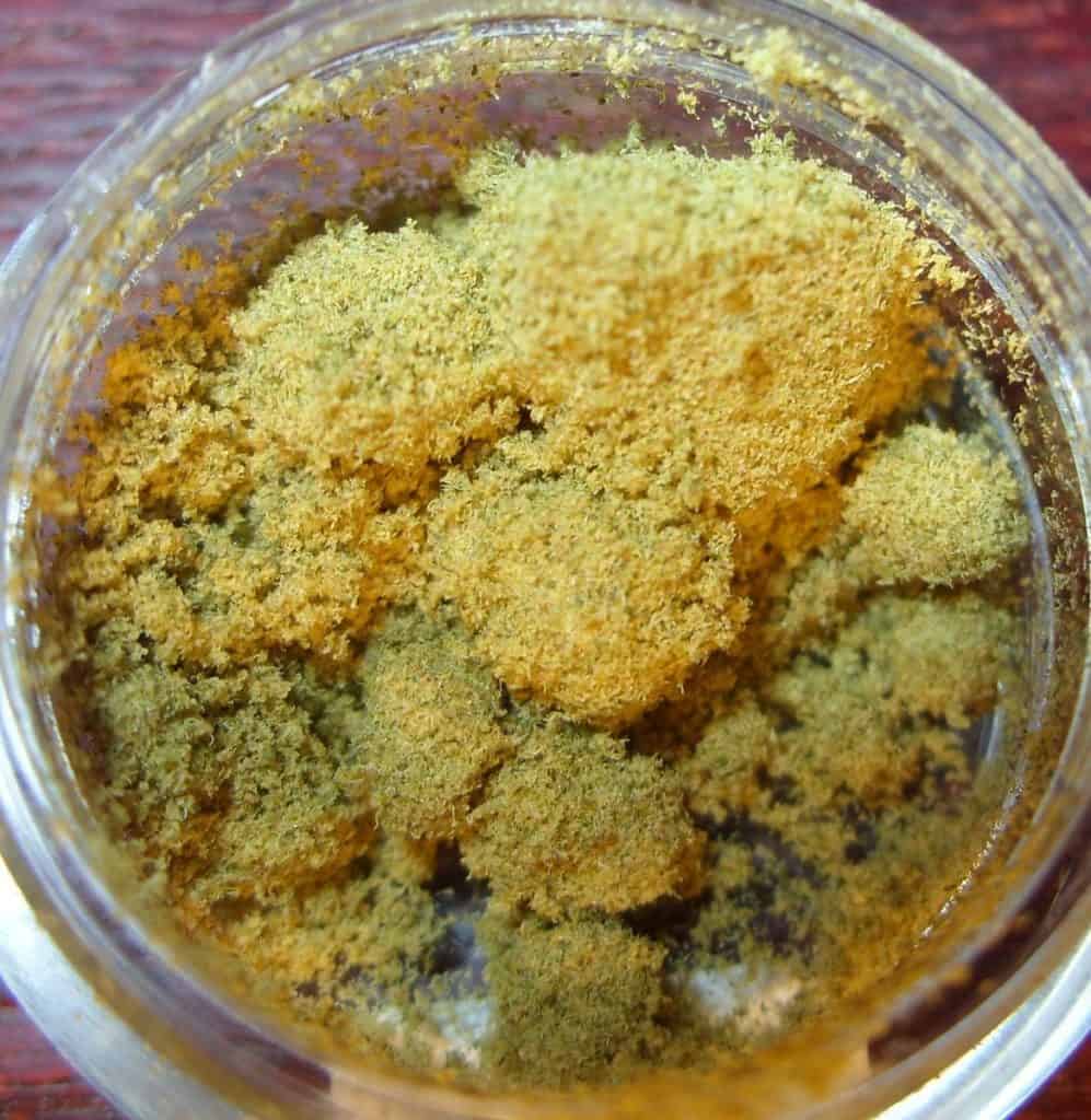 kief in container