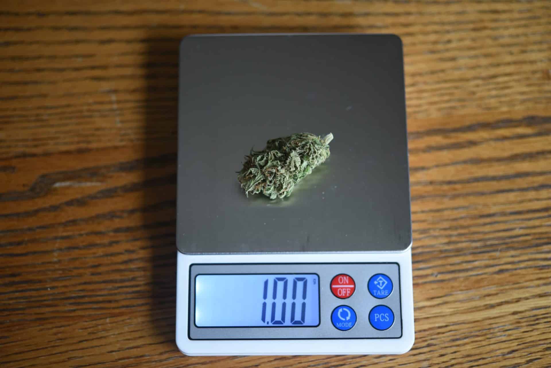 gram of weed