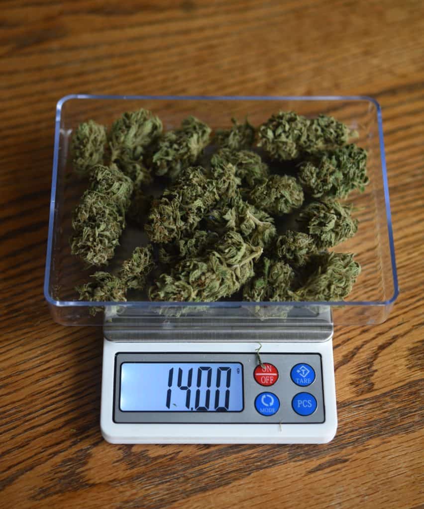 half ounce of weed