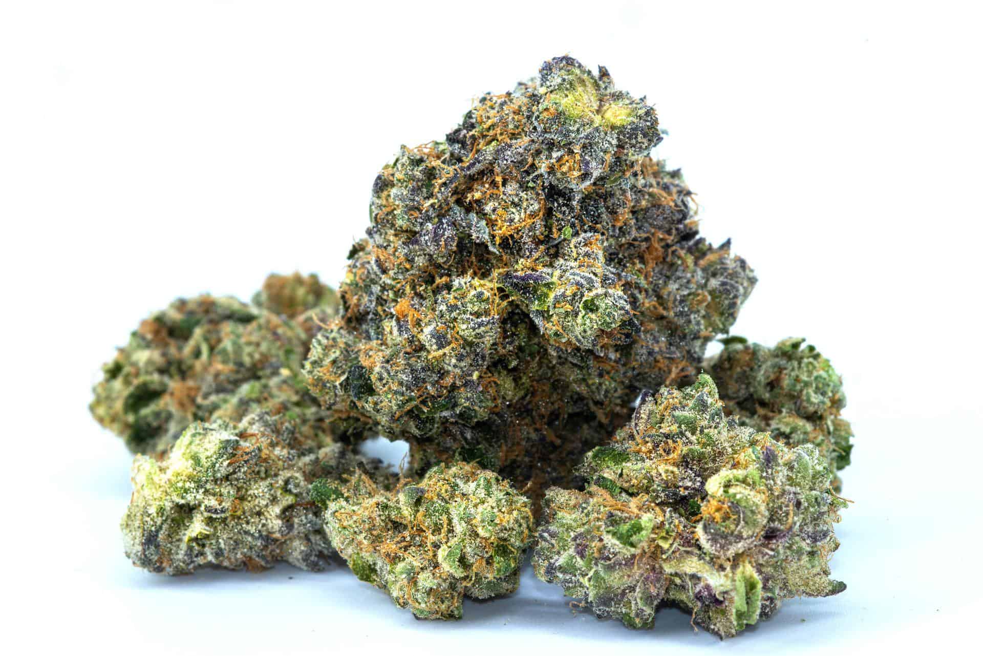 dried cannabis