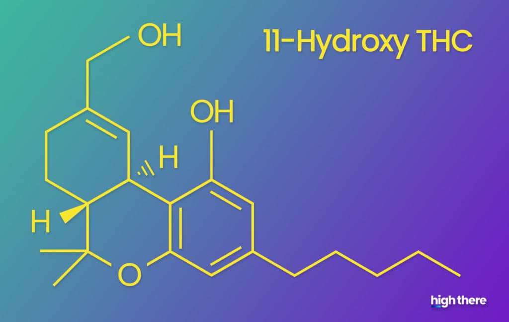 The molecular structure of 11-Hydroxy THC; made by High There