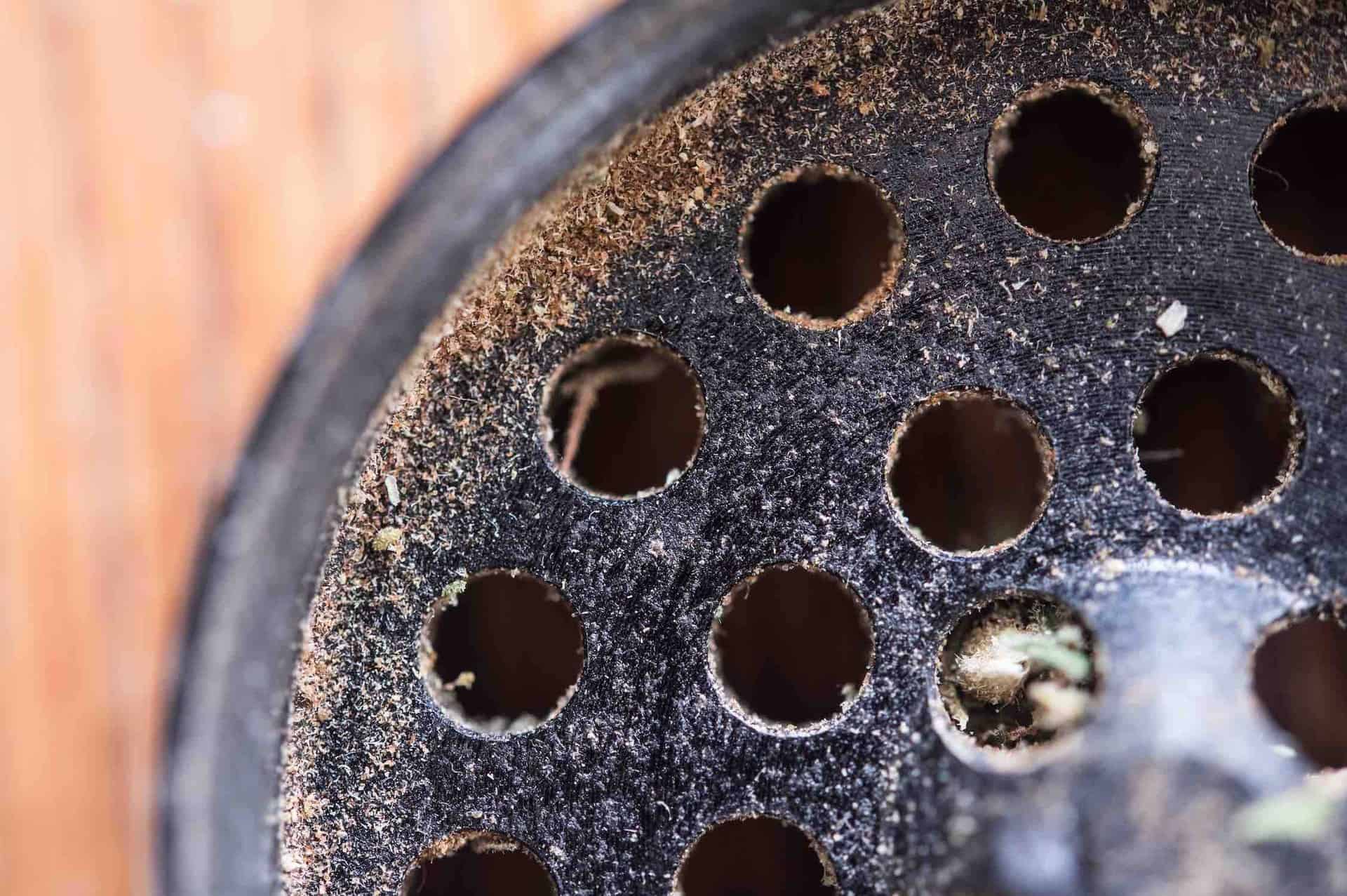 lid of weed grinder