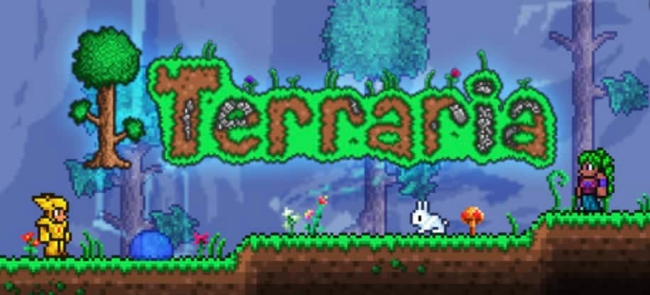 Terraria video game