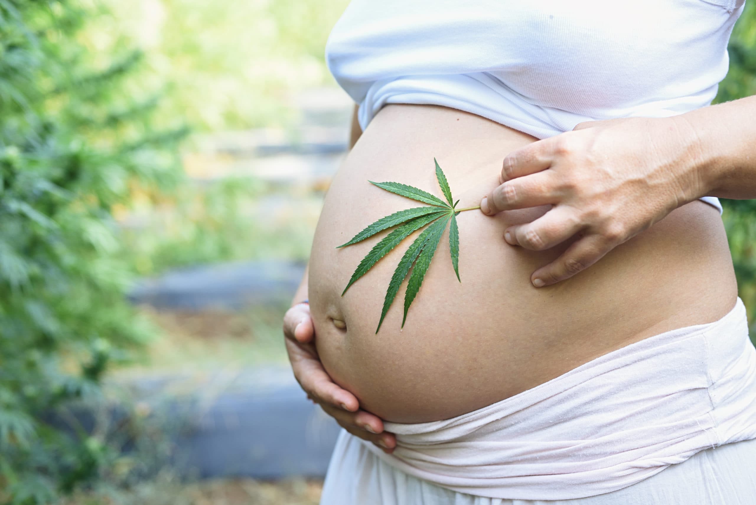 Alabama Bill Would Require Pregnancy Tests for Medical Cannabis Patients