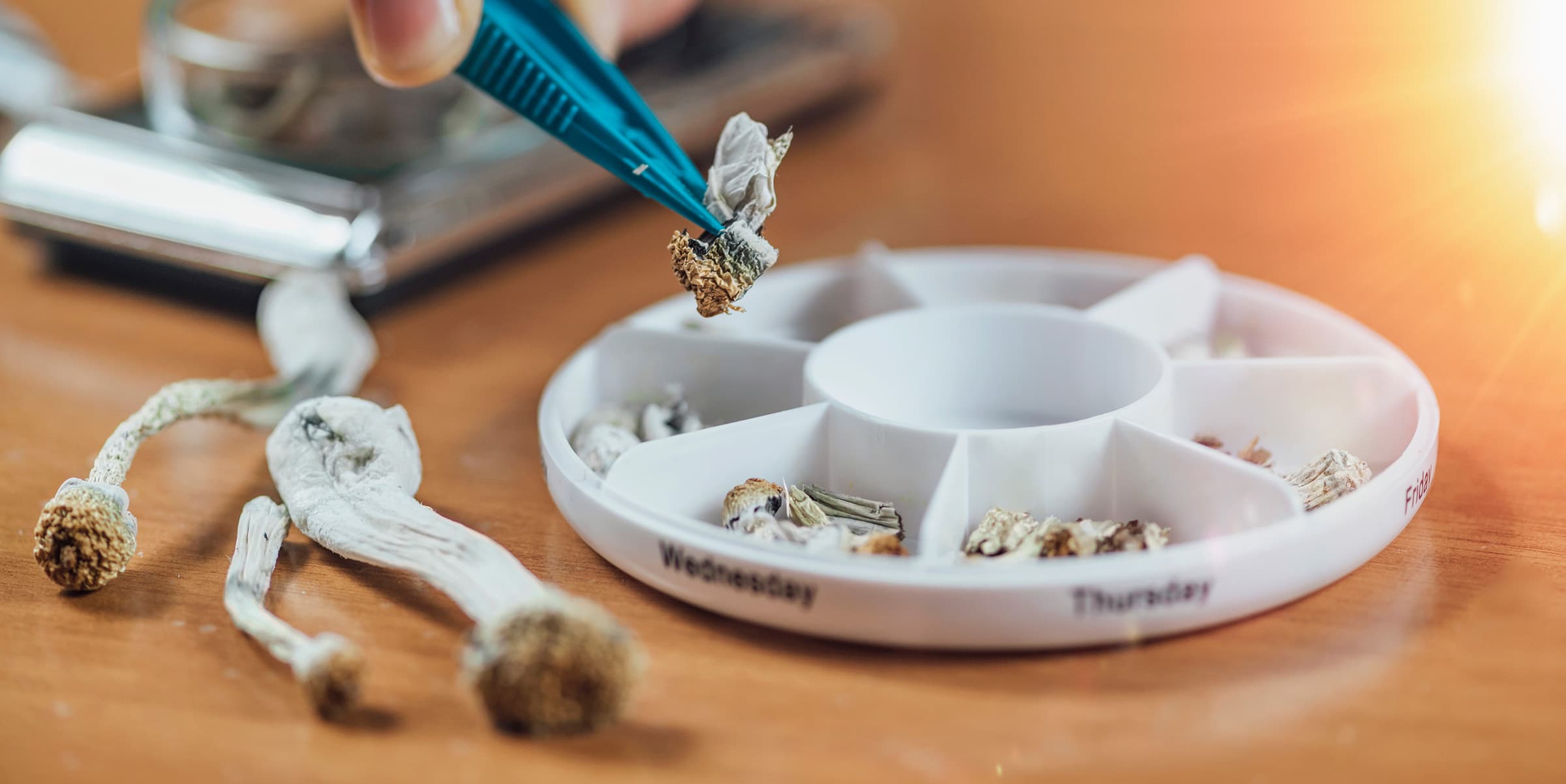 a person uses tweezers to portion out psilocybin mushroom doses