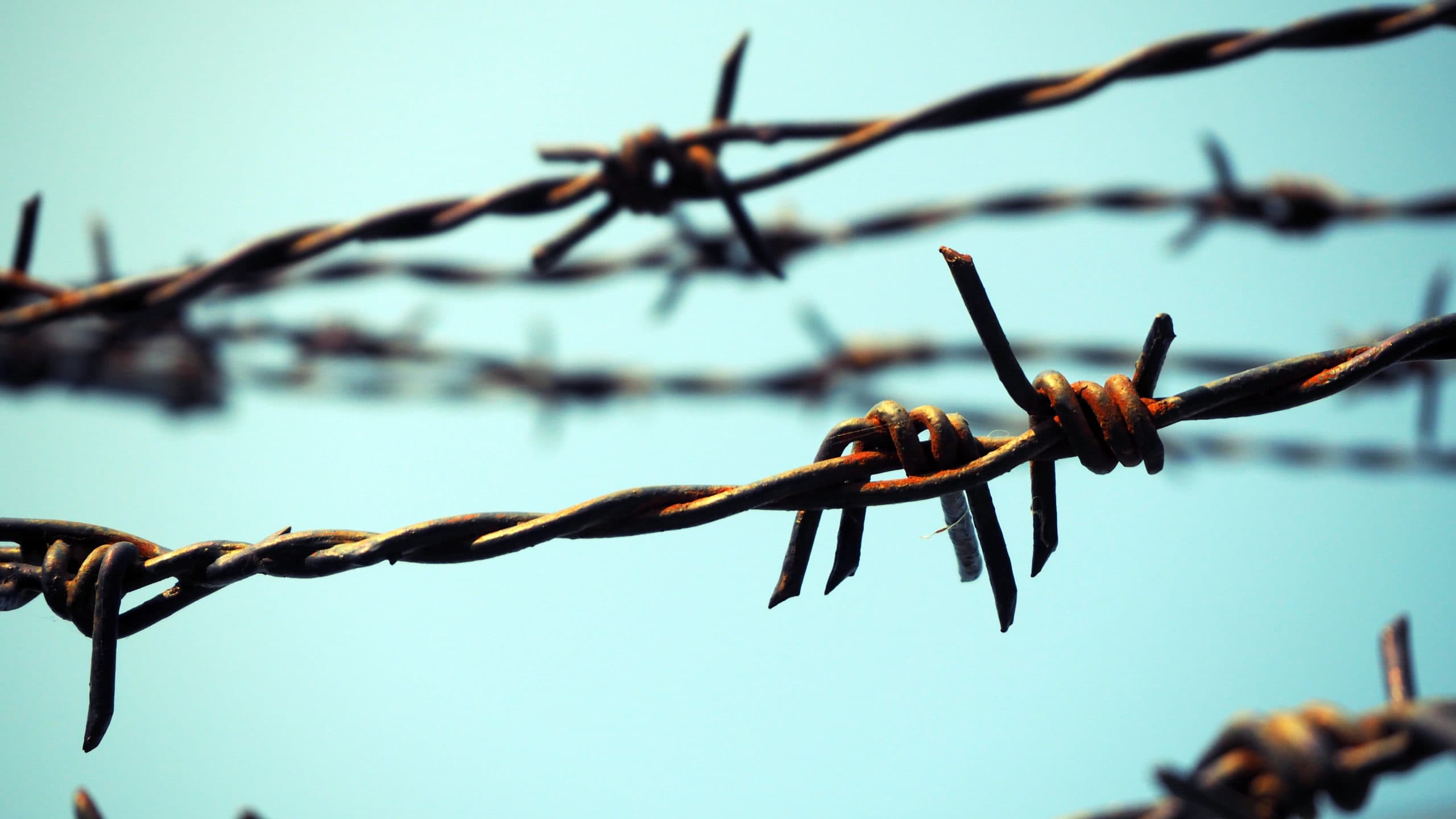 barbed wire against blue sky