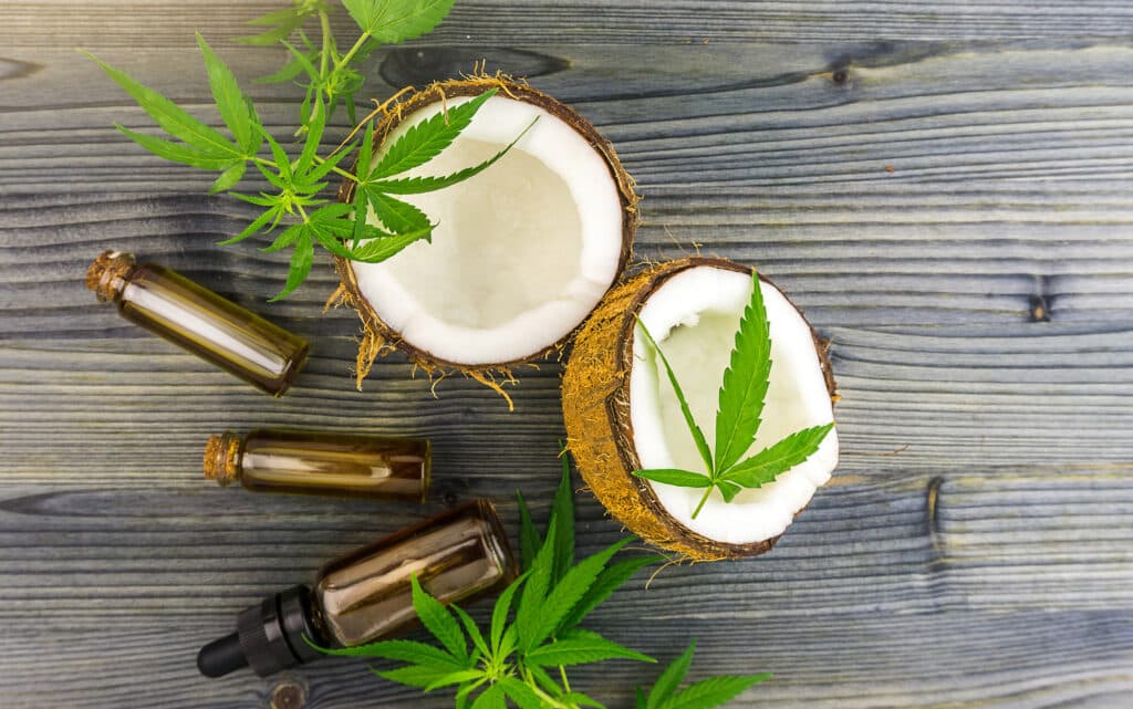 Top view of a coconut and cannabis leaves and Hemp oils on black wooden table