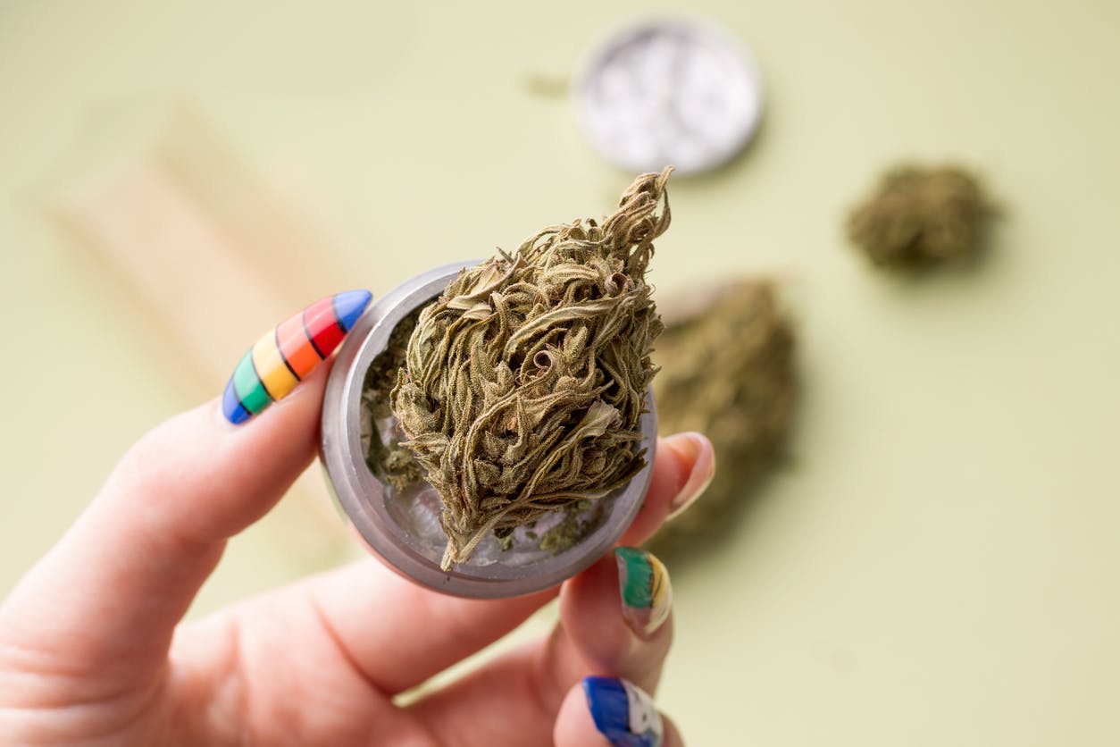 nug of marijuana in a female hand on a green background