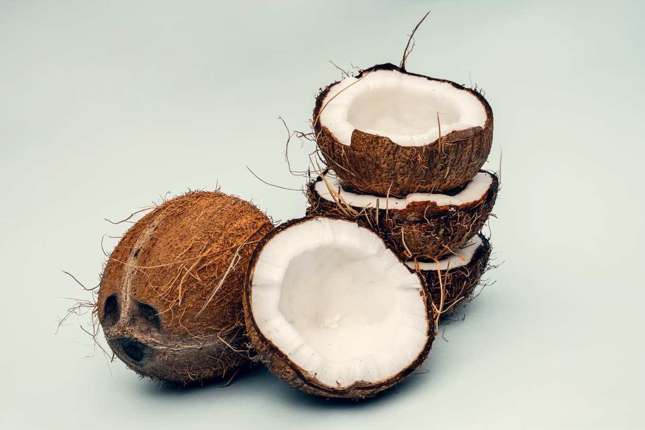 Parts of coconut on a colored background. Close up. Fresh ripe coconut broken into pieces