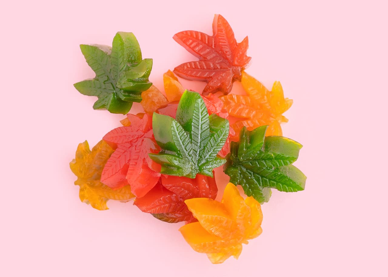 Colorful jelly candies with cbd oil on pastel pinky background