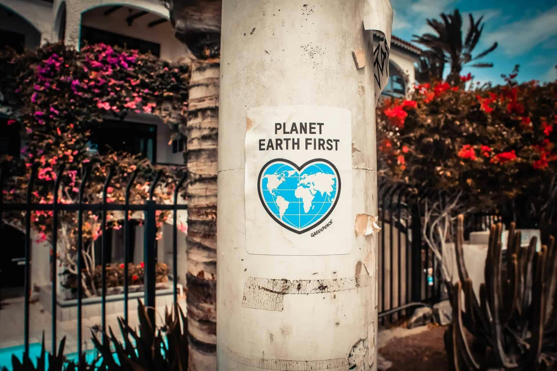 Photo of a cement pillar with planet earth first poster on it.