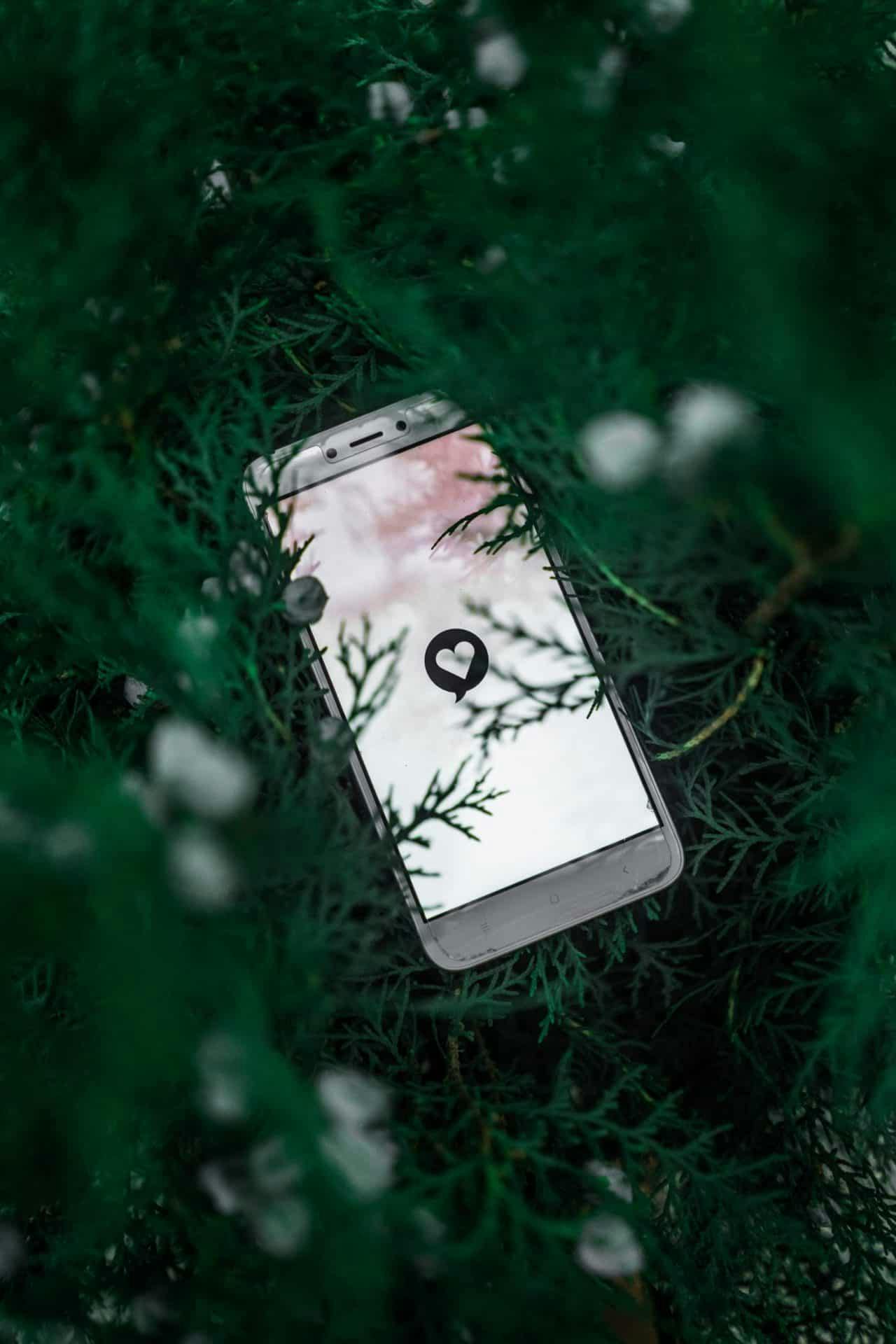 cellphone with heart picture surrounded by leaves