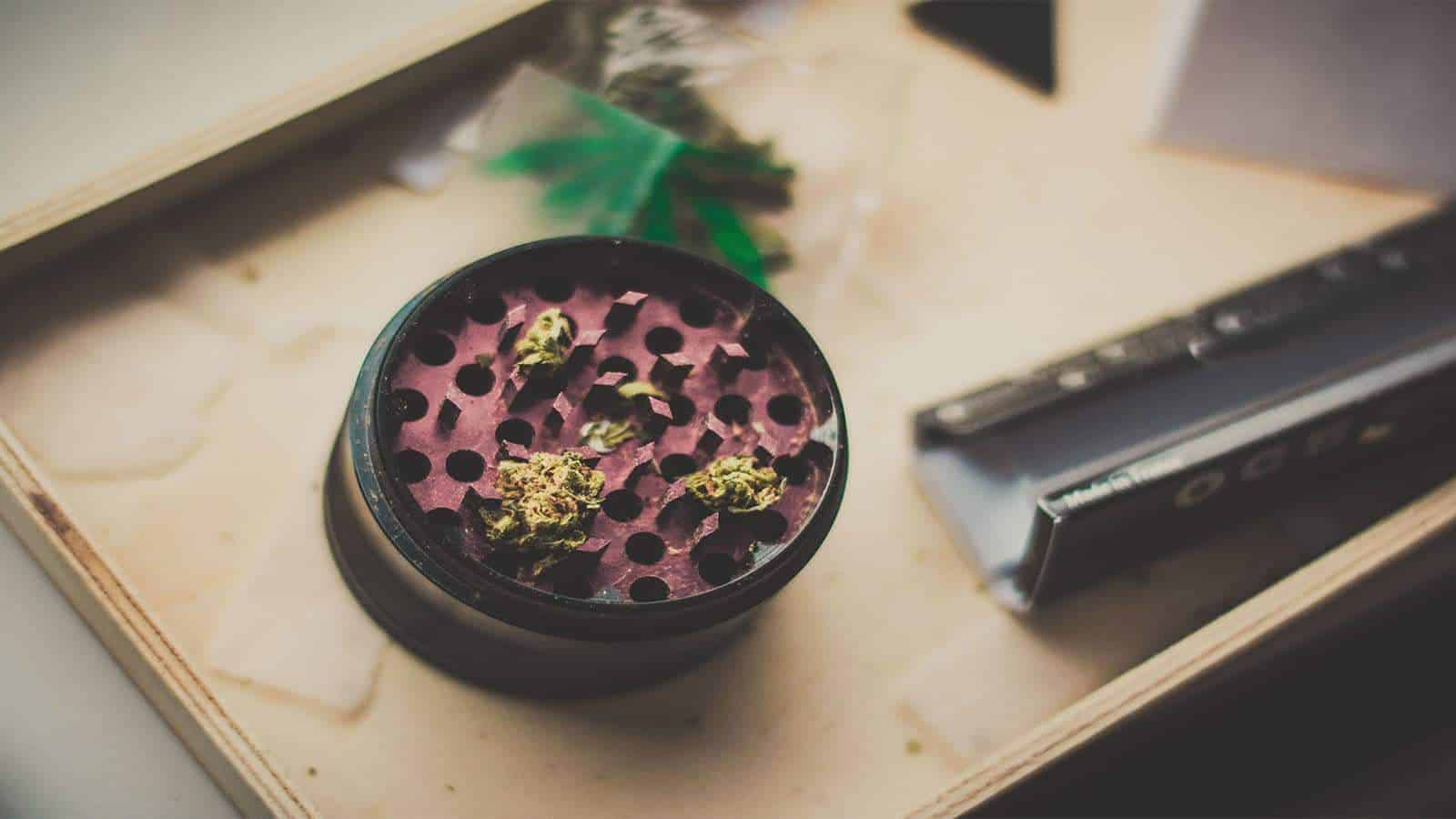 Photo of bud in a grinder