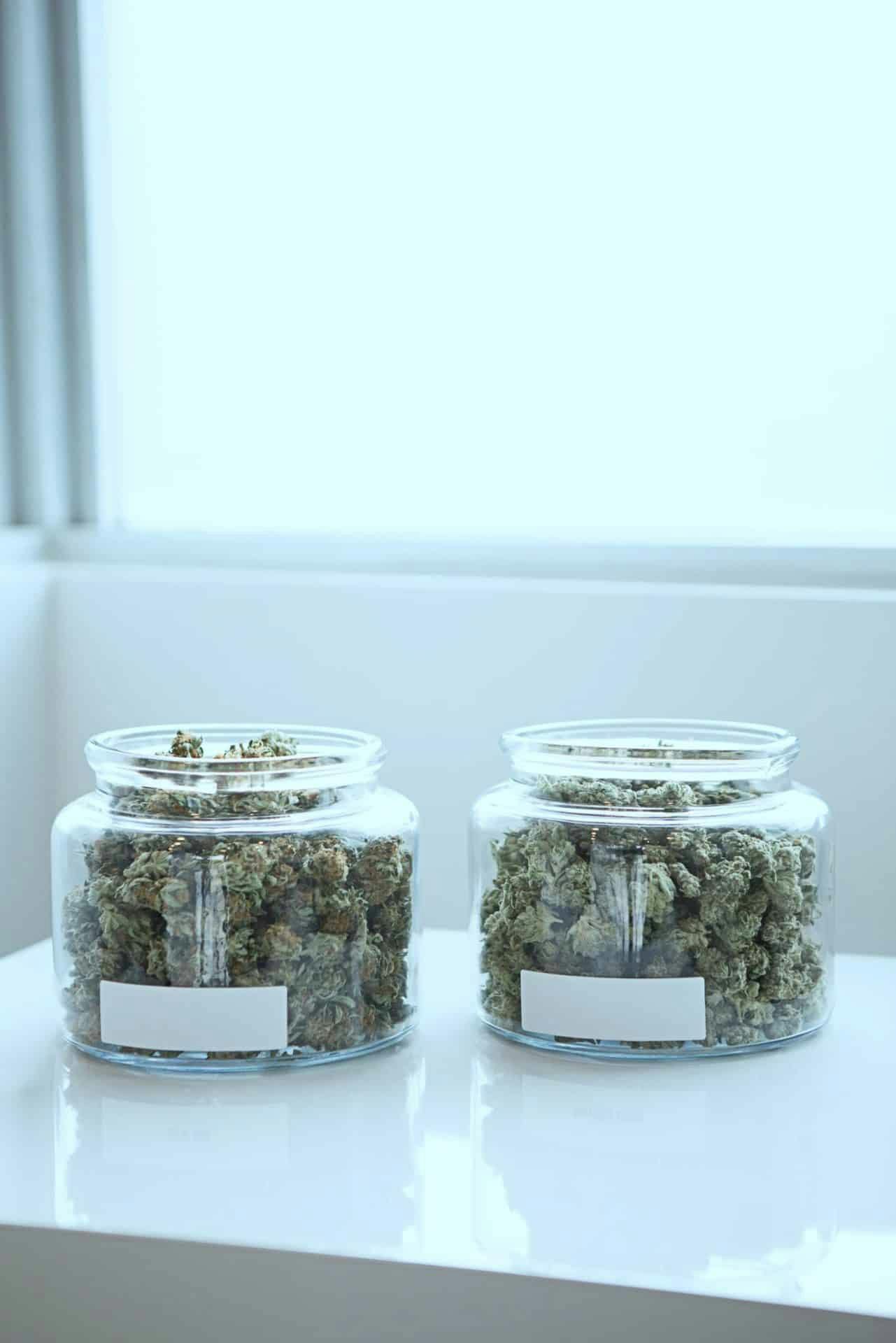 Photo of two clear jar containers filled with weed