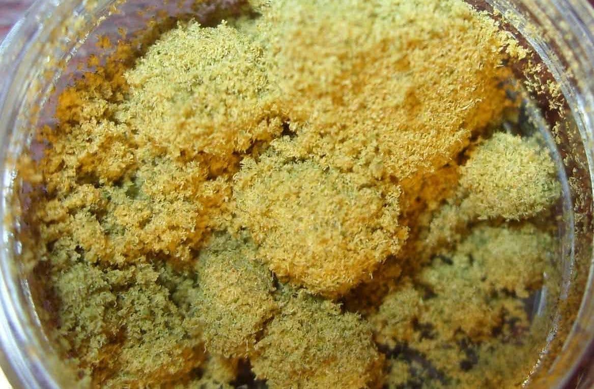 cannabis kief in container