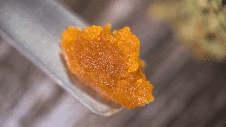 Small amount of live resin on a dab tool
