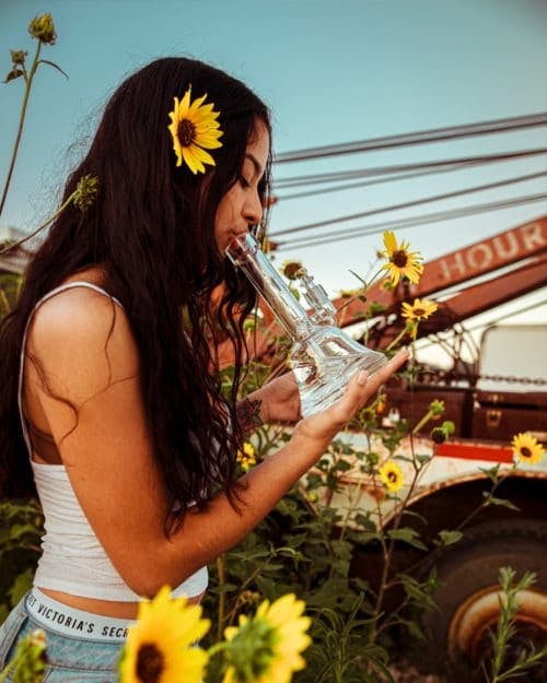 Photo of a women smoking from a bong with sunflowers around and on her.