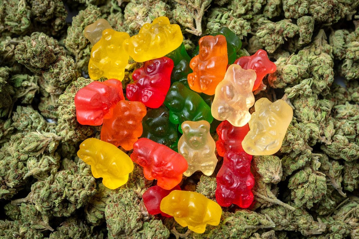 Stack of Organic Marijuana Gummy Bear Candies close up, by Juanmonino via iStock