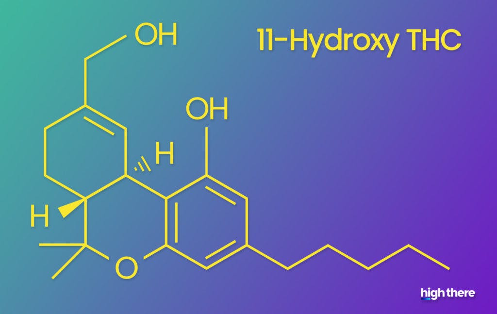 The molecular structure of 11-Hydroxy THC; made by High There