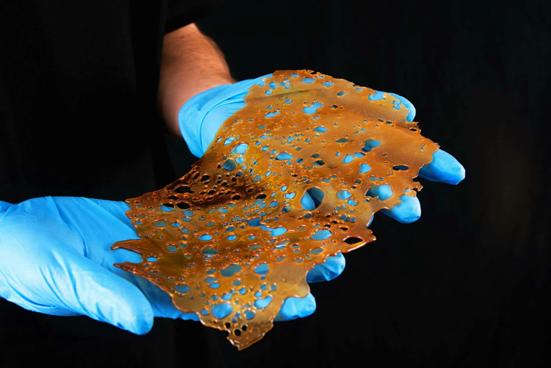 person holding large slab of shatter
