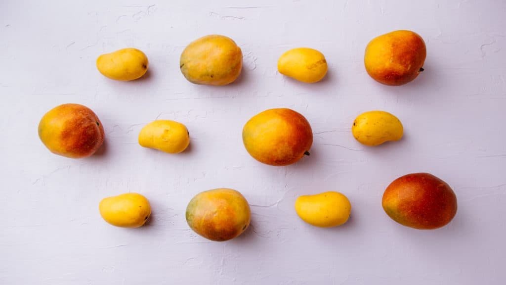 mangoes on grey background