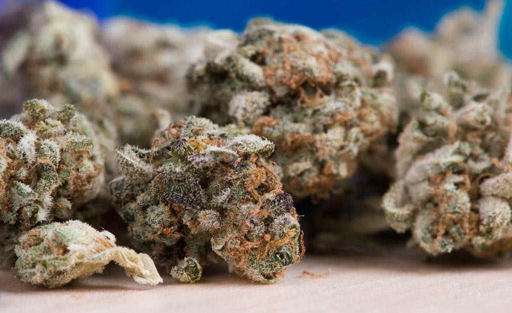 A close up photograph of a cannabis bud, by msqrd2 via Pixabay
