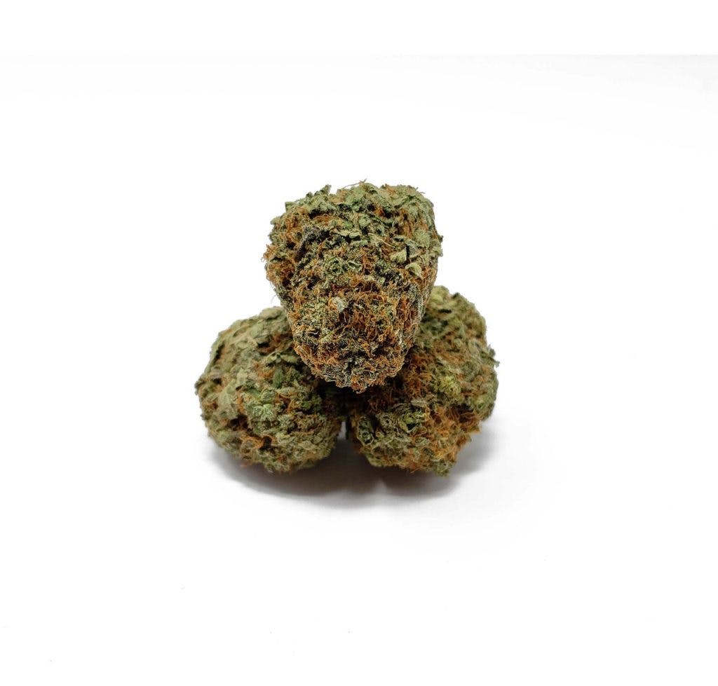 A close up photograph Sour Diesel of a cannabis bud, by Bulkbuddy via Pixabay