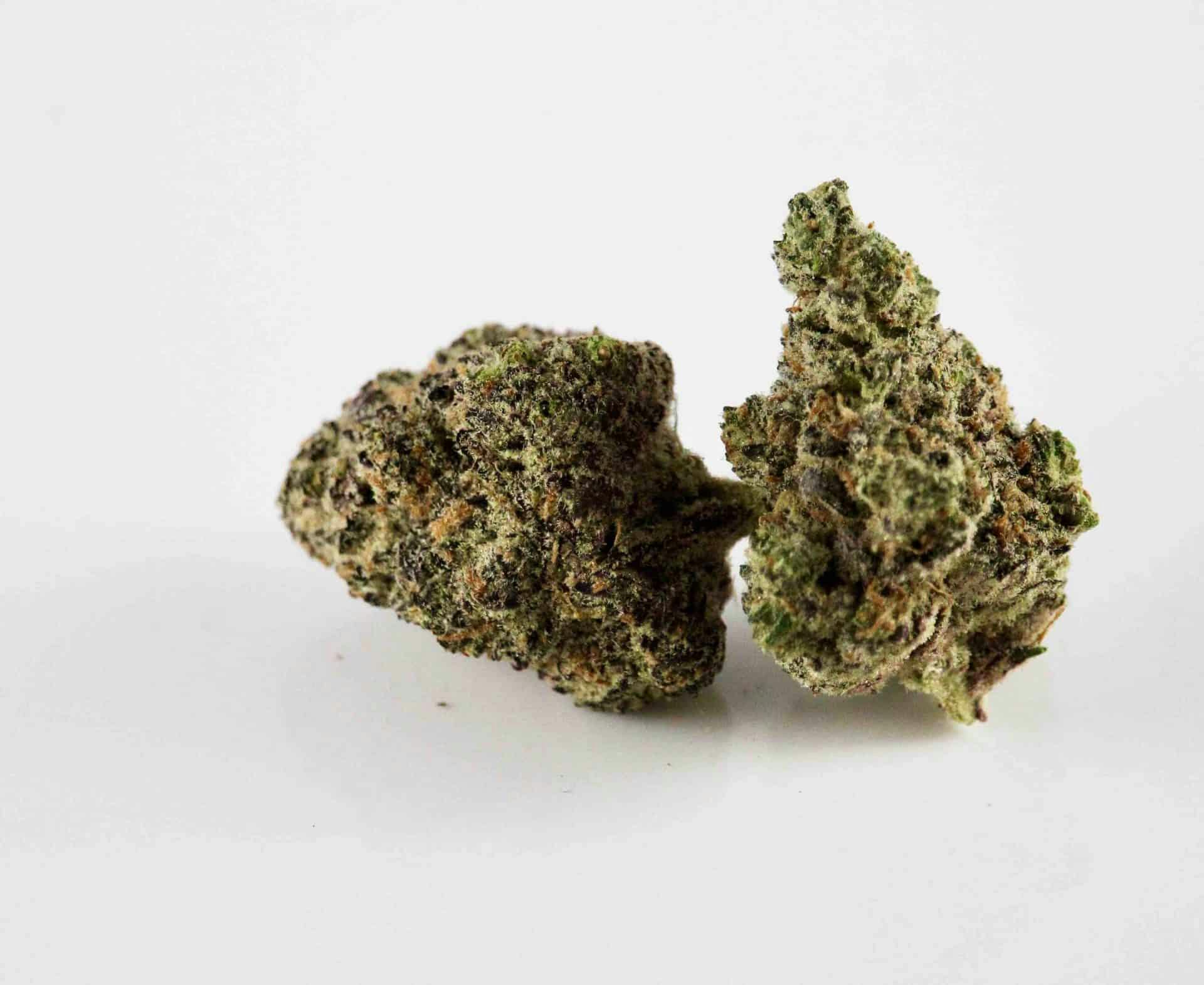 dried cannabis buds