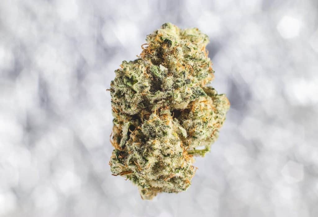 Macroshot of a cannabis bud