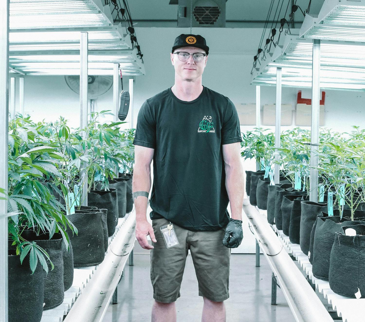 Man standing next to cannabis plants, by Greenforce Staffing via Unsplash
