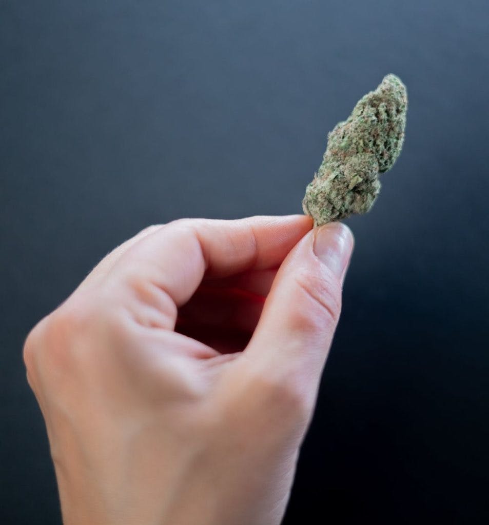 A nugget of cannabis, by Kindel Media via Pexels