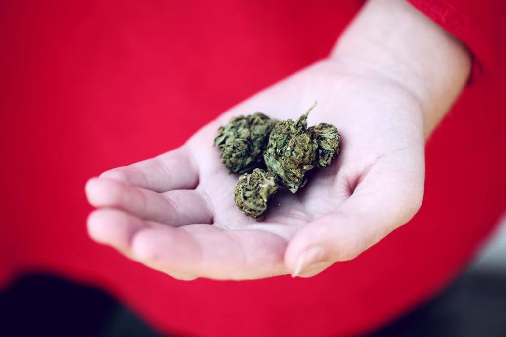 A hand holding several nuggets of cannabis, by Sharon McCutcheon via Unsplash