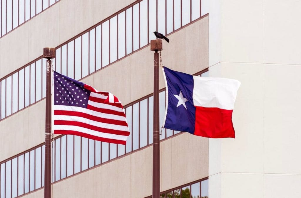 A Texas and American flag waving, with a bird, by Avi Werde via Unsplash
