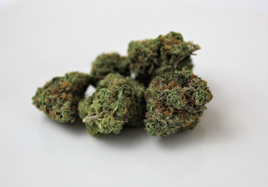 A bud of cannabis, by hayleyzacha via Pixabay