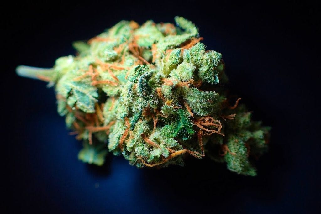 A bud of cannabis, by DavidCardinez via Pixabay