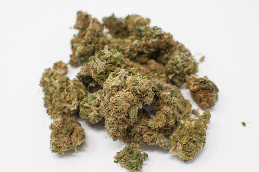A bud of cannabis, by thisveganishigh via Pixabay