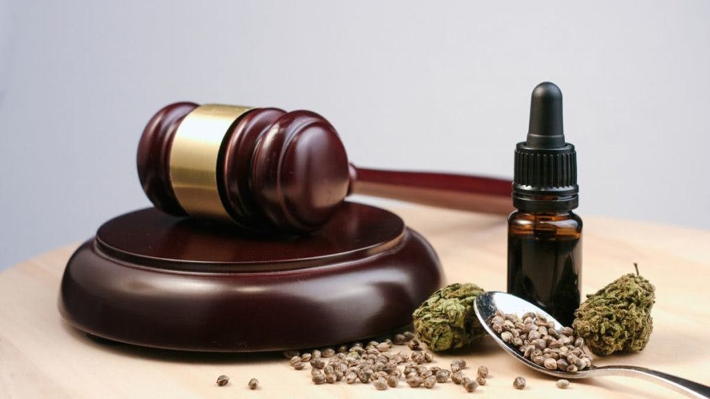 Cannabis bud, seed, oil, and a gavel, by 24k Productions via iStock
