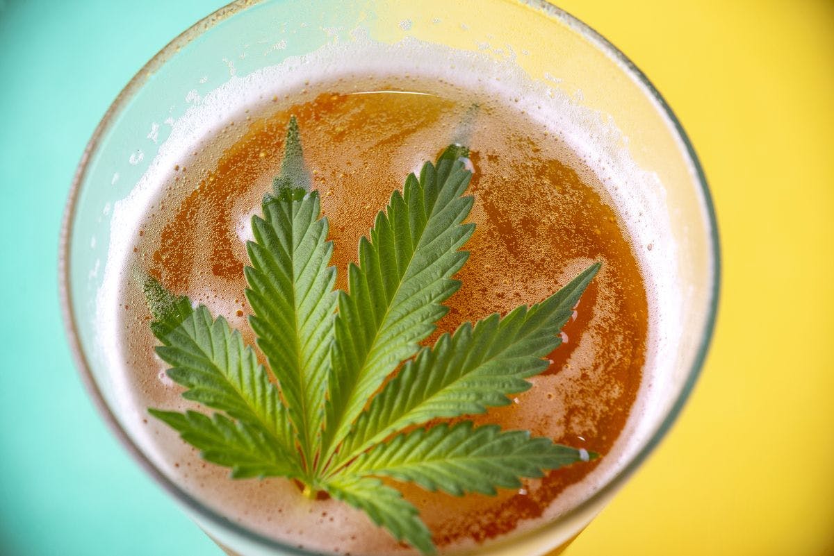 A cannabis leaf floats inside a beverage, by rgbspace via iStock
