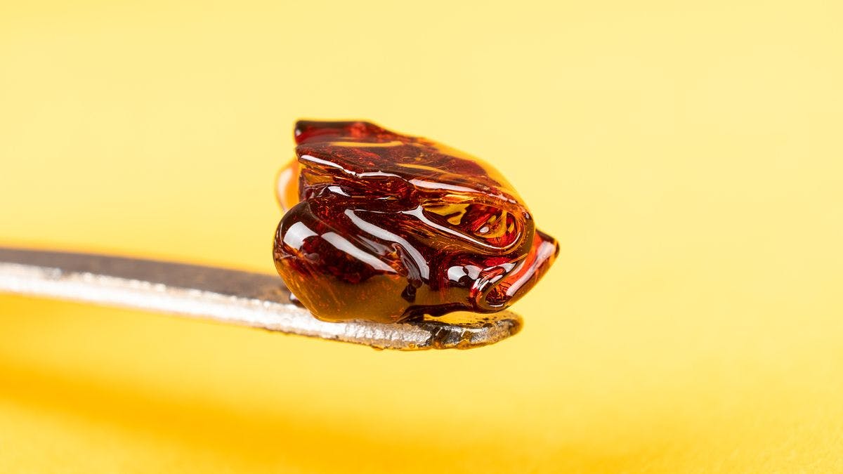A tool with golden cannabis concentrate on top, by Roman Budnyi via iStock