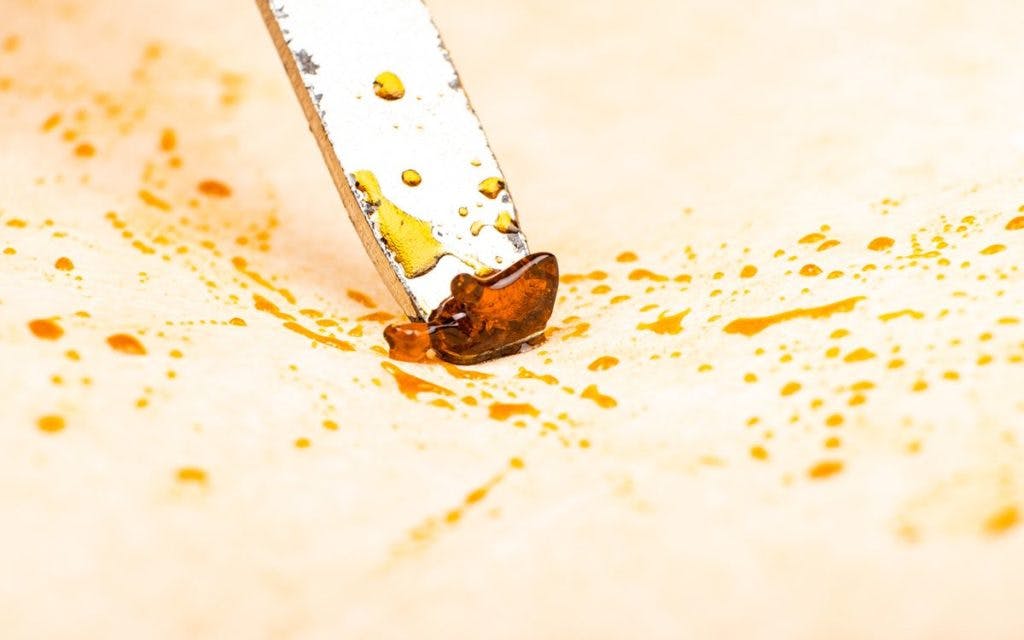 A tool scrapes golden cannabis concentrate off of a non-stick sheet of paper, by Roman Budnyi via iStock