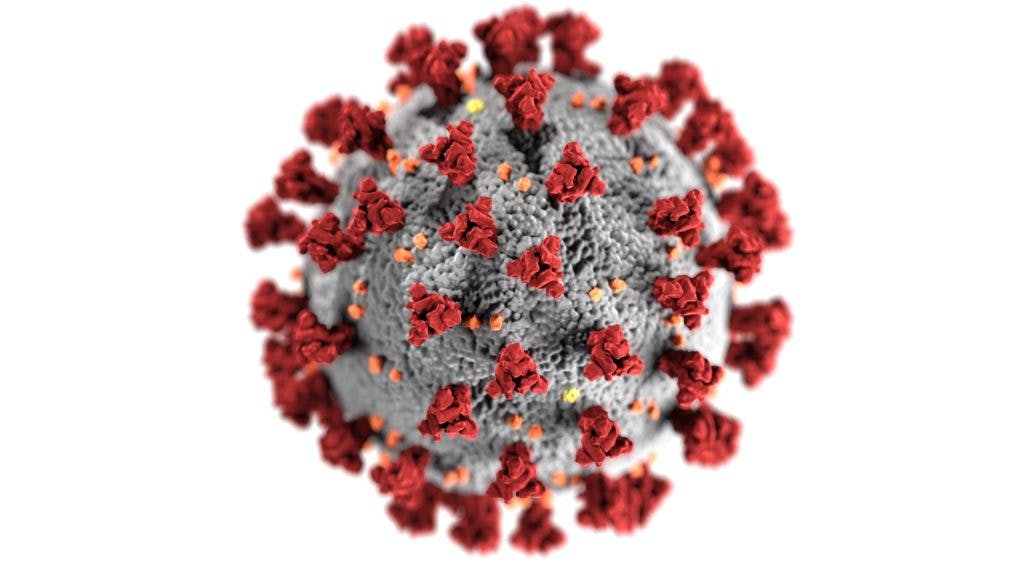 A macroscopic image of the COVID-19 coronavirus, by the CDC via Unsplash