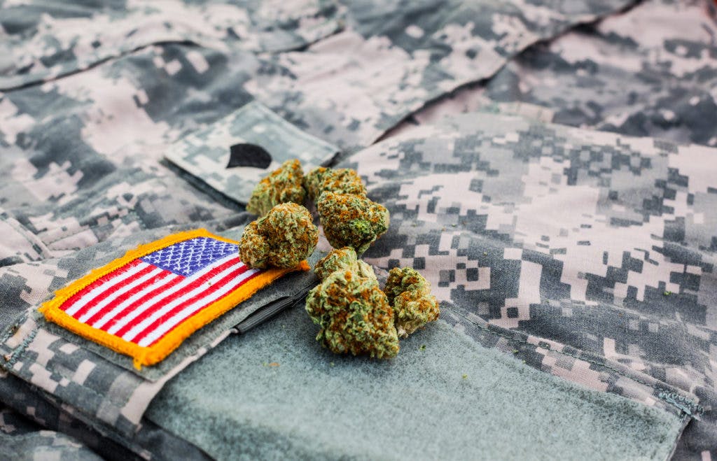 Veterans Groups Seek Access to Medical Cannabis Through VA