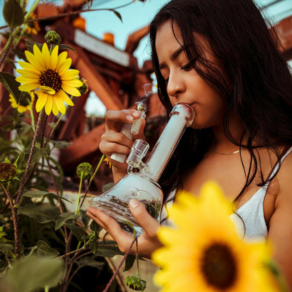 woman smokes a water bong with sunflowers around her