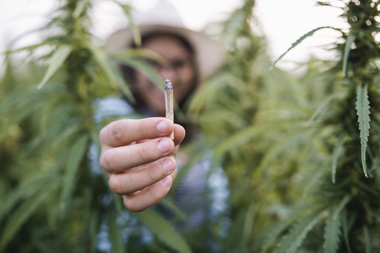 Federal Cannabis Legalization: Will it Pass the U.S. Senate?