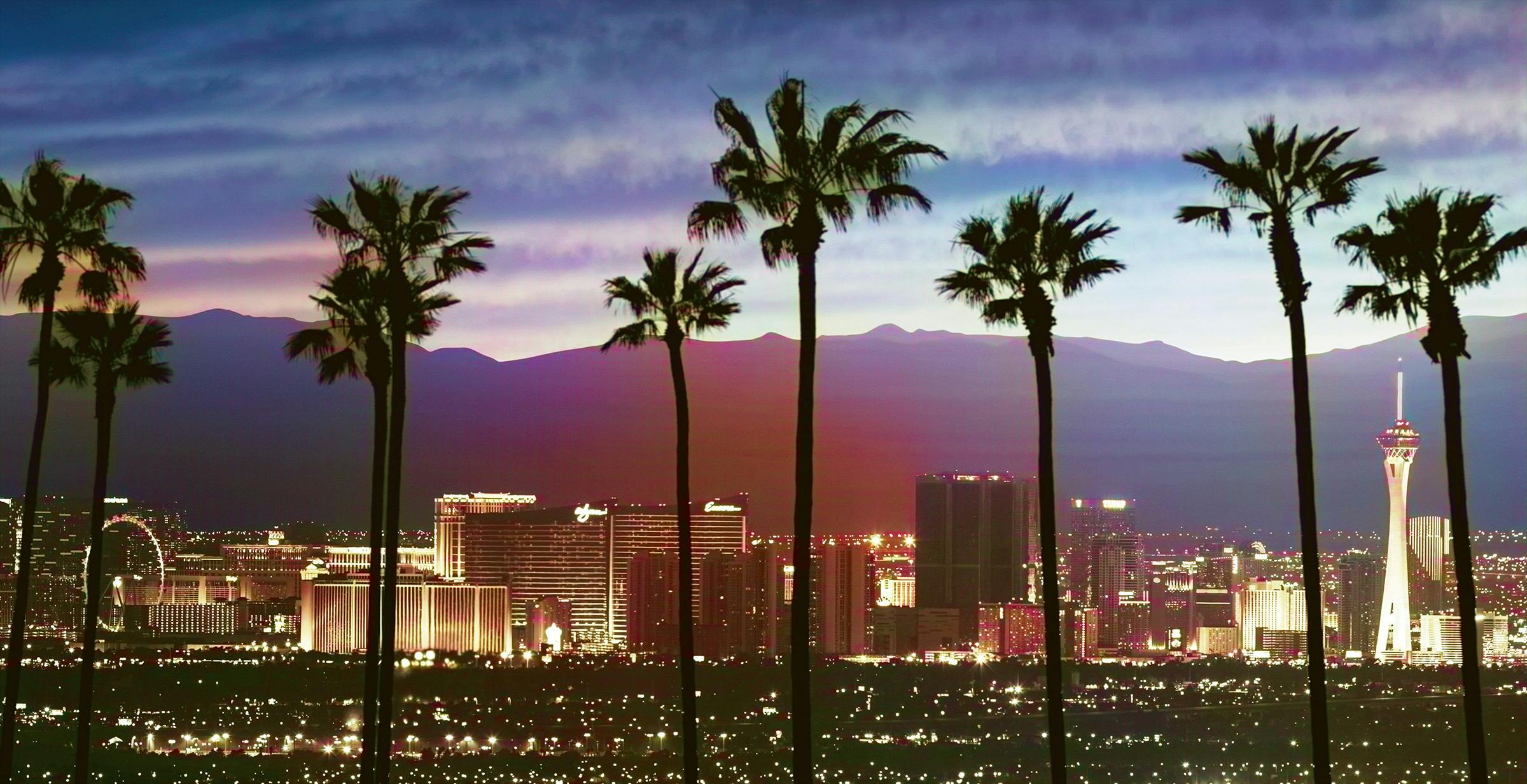 Palm trees in the foreground with the Las Vegas Strip in the background