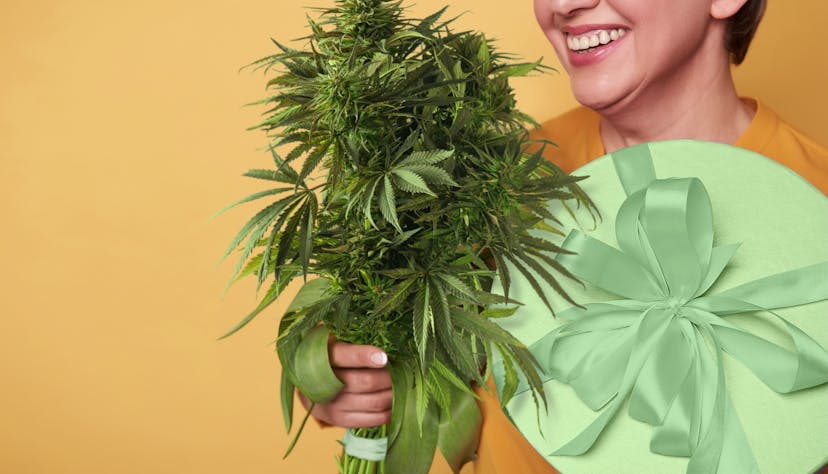woman holds a bouquet of cannabis flowers