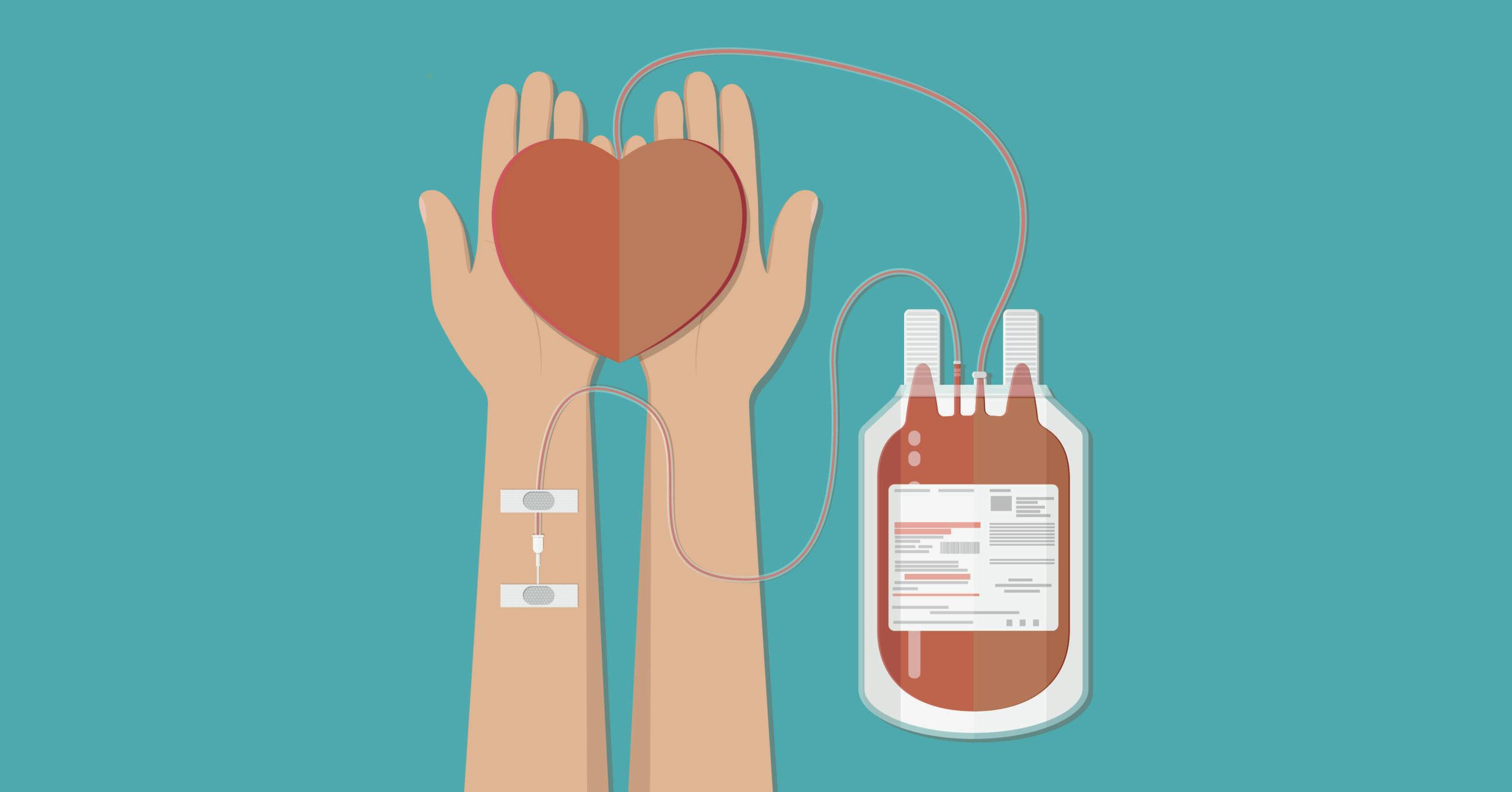illustration of hands holding a heart while donating blood